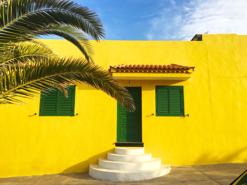 A yellow stucco house with green shutters and a palm tree.